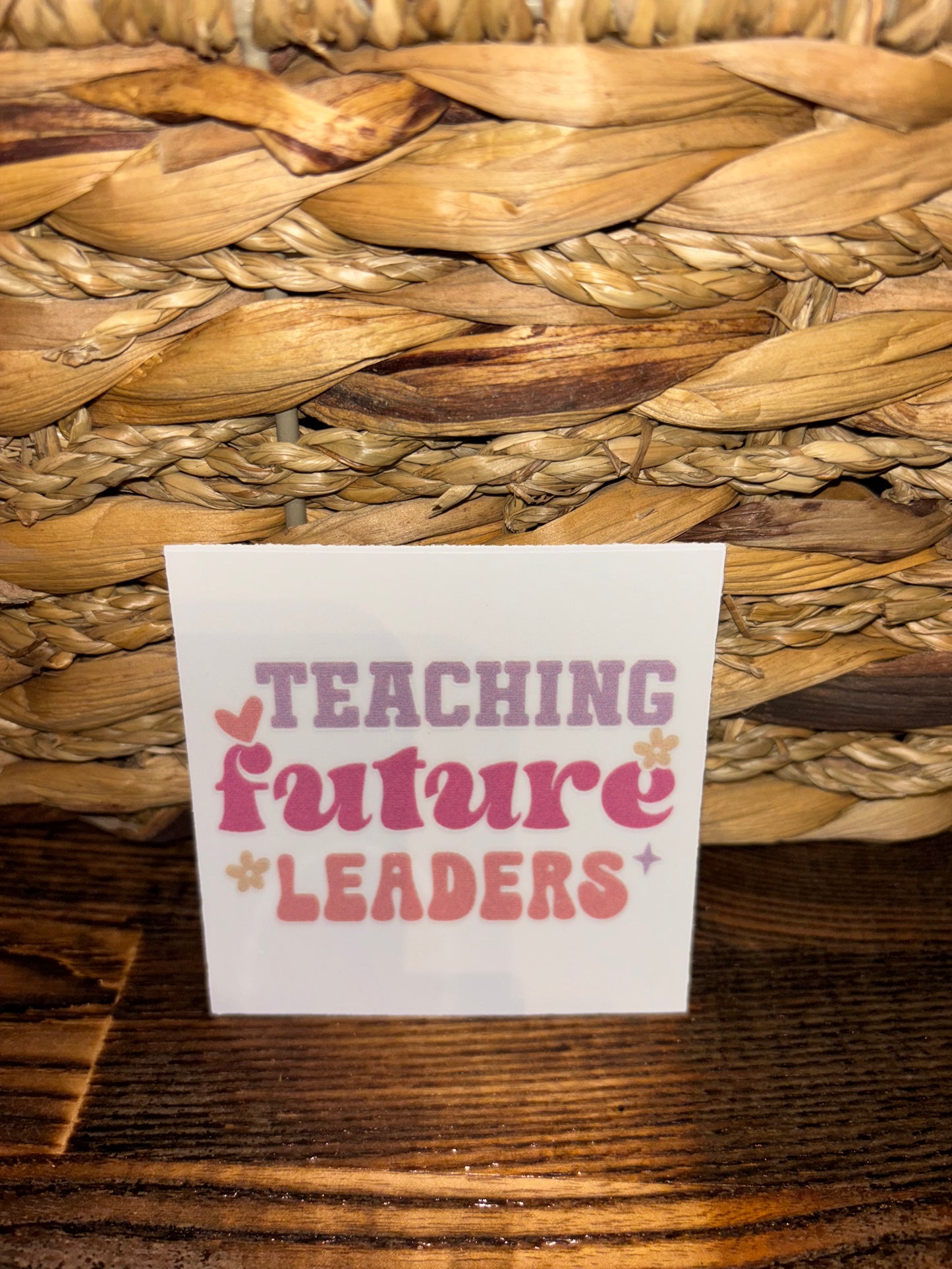 Teaching future leaders